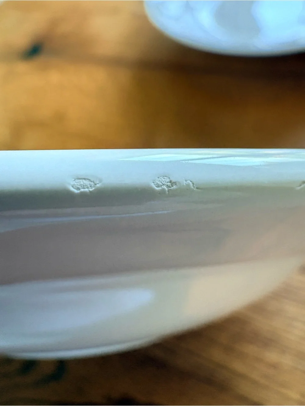 I Patrizi Williams Sonoma Embossed Garlic & Tomato pasta Bowls - Set of 4